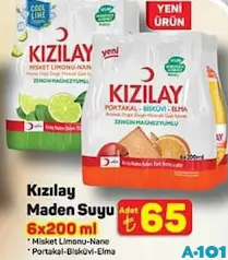 KIZILAY MEYVELİ MADEN SUYU 6X200 ML fiyat ve kampanya bilgisi
